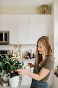 Woman watering house plants Woman watering house plants